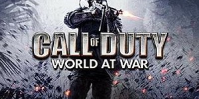 使命召唤5：世界战争/COD5