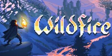 野火/Wildfire/单机.同屏多人