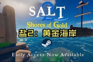 海盐2：黄金海岸/Salt 2: Shores of Gold