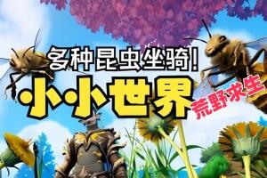 密码保护:小小世界:荒野求生/Smalland: Survive the Wilds【密码123】